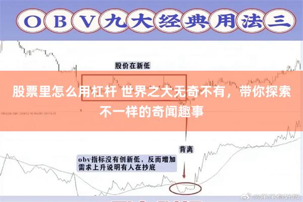 股票里怎么用杠杆 世界之大无奇不有，带你探索不一样的奇闻趣事