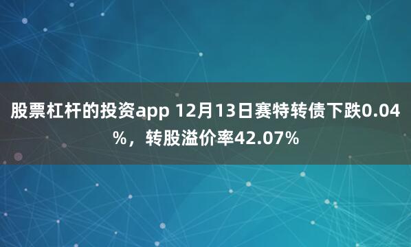 股票杠杆的投资app 12月13日赛特转债下跌0.04%，转股溢价率42.07%