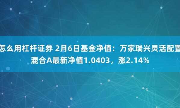 怎么用杠杆证券 2月6日基金净值：万家瑞兴灵活配置混合A最新净值1.0403，涨2.14%