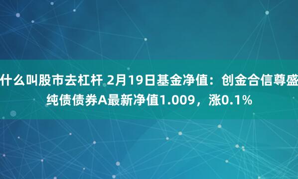 什么叫股市去杠杆 2月19日基金净值：创金合信尊盛纯债债券A最新净值1.009，涨0.1%