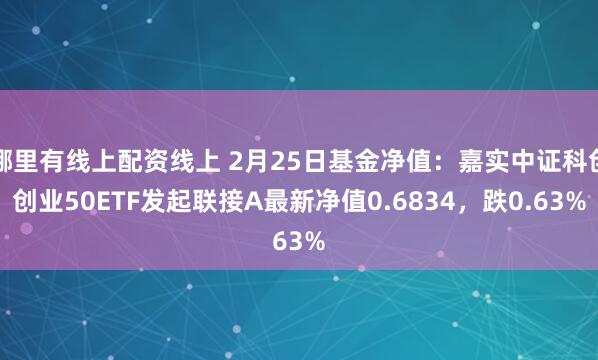 哪里有线上配资线上 2月25日基金净值：嘉实中证科创创业50ETF发起联接A最新净值0.6834，跌0.63%